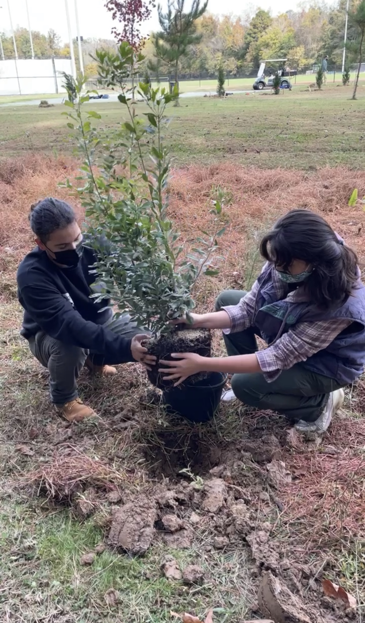 2 students planting tree